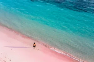 A Hidden Gem in Komodo National Park