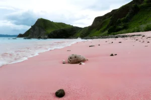 Comparing Komodo’s Pink Beach - Vacation Guru