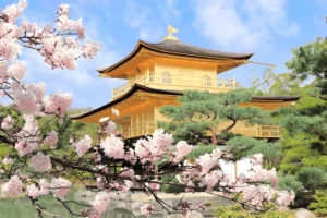 Golden Pavilion (Kinkaku-ji)