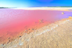 Pink Lake