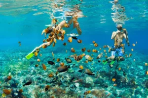 Swimming Through Crystal Clear Waters- Komodo island