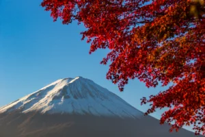 mount-fuji-with-red-autumn-leaf-japan 0 vacation guru