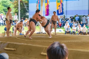 sumo wrestling - Vacation Guru