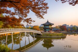 Additional Activities and Day Trips