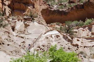 Andreas Canyon Trail in Indian Canyons