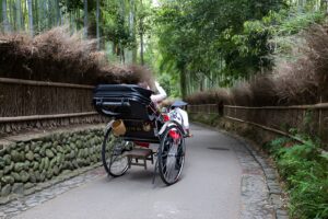 Arashiyama Bamboo Grove