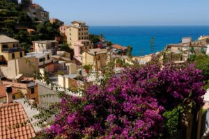 Cinque Terre road