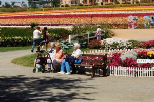 Cost and Purchasing Tickets for the Carlsbad Flower Fields