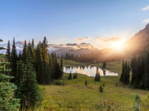 Day Trip to Mount Rainier National Park (Optional)