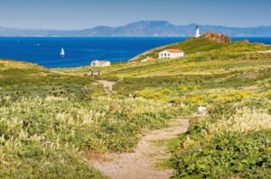 Exploring Channel Islands National Park