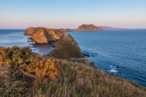 Exploring Channel Islands National Park