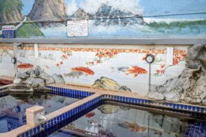 Local Bathhouse (Sento) - Vacation Savant