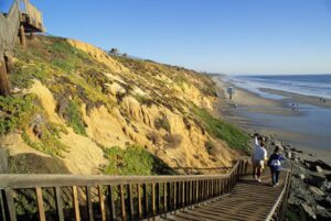 Local Eateries and Picnic Spots Near the Carlsbad Flower Fields