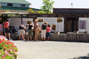 Other Activities at the Carlsbad Flower Fields