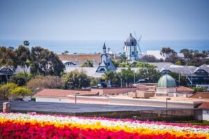 Planning Your Visit to Carlsbad Flower Fields