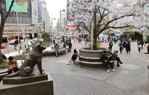 Shibuya Crossing and Hachiko Statue - vacation Savant