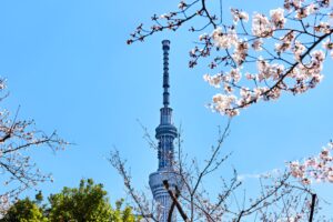 Tokyo Skytree Adventure