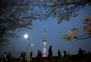 Tokyo Tower or Skytree at Night