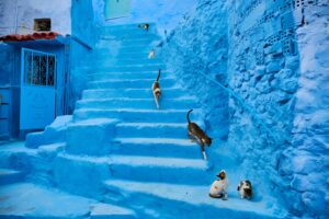 Traveling to Chefchaouen from Marrakech