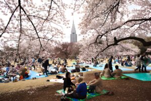 Ueno Park- vacation savant