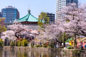 Visit a Local Park japan - Vacation Savant