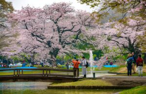 Yoyogi Park - vacation savant