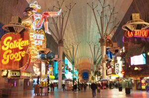 ziplining under the neon lights