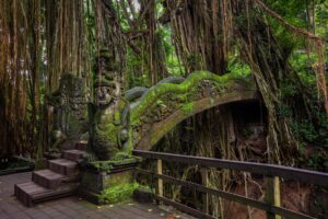 Adventure and Wellness in Bali