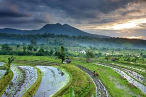 Bali’s culture