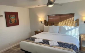 Blackstone Hotsprings night stay