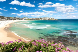 Bondi Beach & Harbour Combo