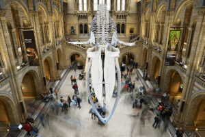 British Museum
