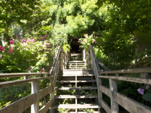 Filbert Street Steps
