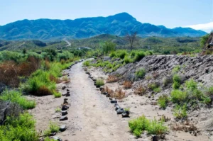 Healing Waters Trail