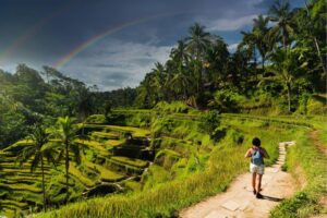 Tegalalang Rice Terrace. Is Bali Safe to Visit