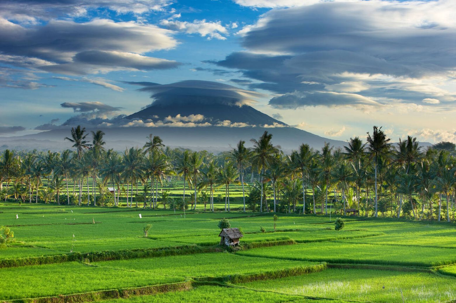 Explore the Rice Terraces in Ubud