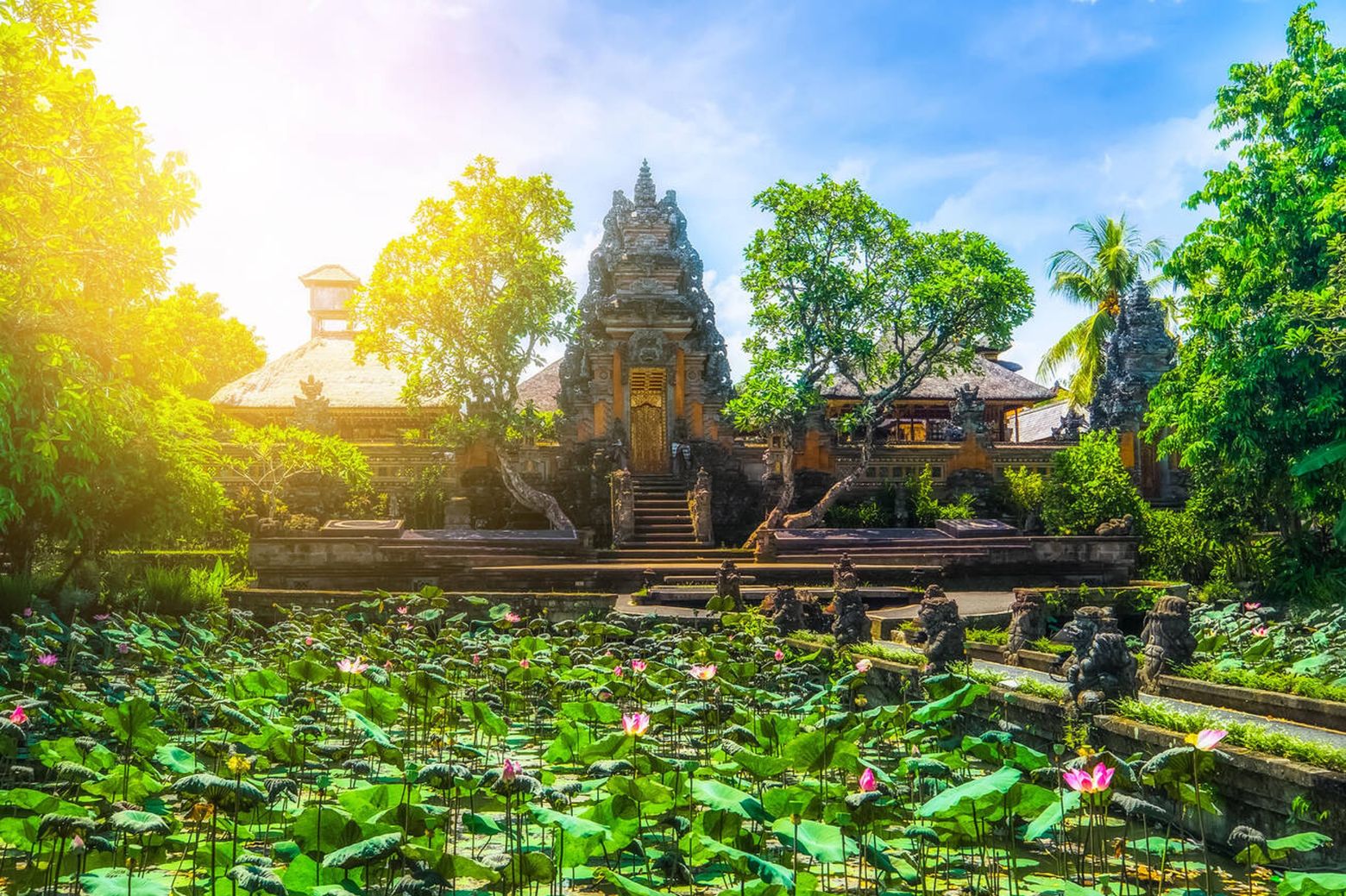 Ubud Yoga Retreats