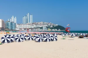 1 week in South Korea
