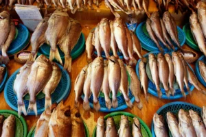 Jagalchi Fish Market