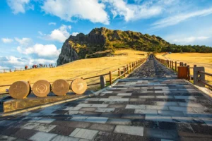 Jeju Island