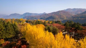 Nami Island