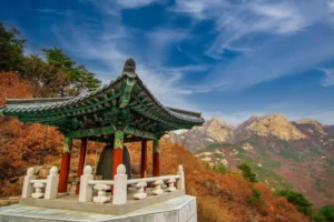 The Ultimate South Korea Itinerary 7 Days
