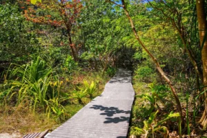 Maya Bay Facilities