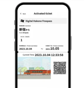 Why Use the Hakone Free Pass?