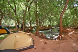 Camping at Havasupai Falls