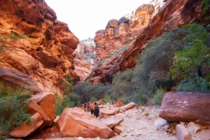 Hiking Beaver Falls in Havasupai, Arizona