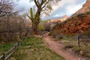 Hiking to Beaver Falls