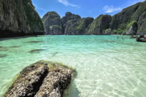 Maya Bay coral restoration