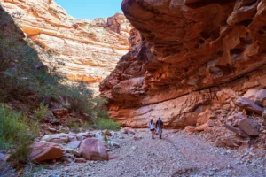 Hike Havasupai