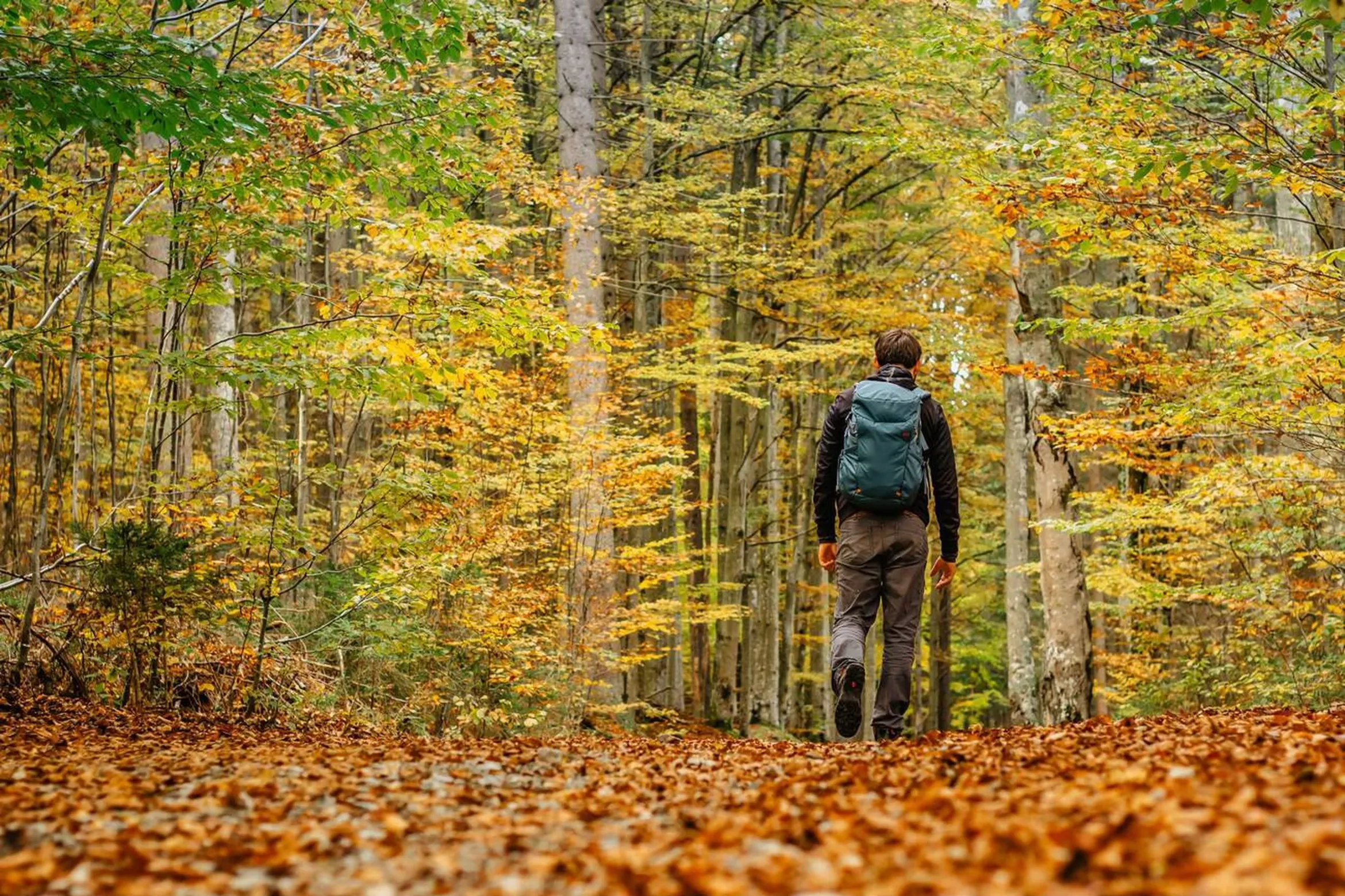 You are currently viewing How to Plan a Solo Trip for the First Time